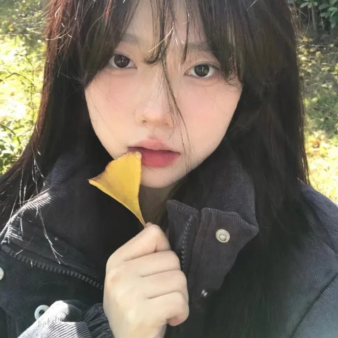 我最好的朋友安妮·弗兰克